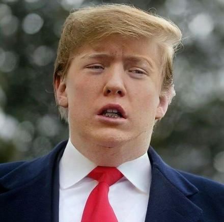 boris-donald-hybrid.jpg