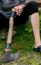 Kumpi varsi puisempi?