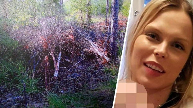 Törn_metsäkuva.jpg