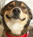 smiley.jpg