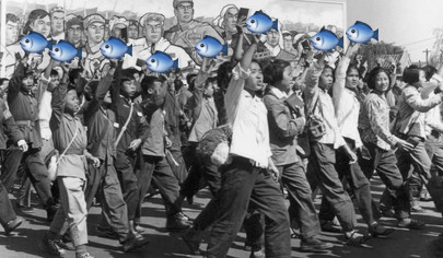punakalat.jpg