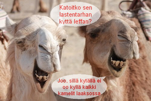 kameleitakin naurattaa.jpg