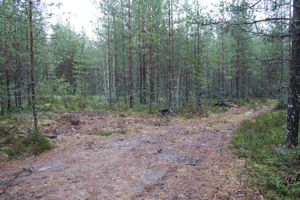 Löytöpaikka1.jpg